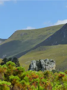 Honeyrock Cottages & Venue