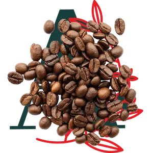 Aroma Gourmet Coffee Roastery (Brooklyn)