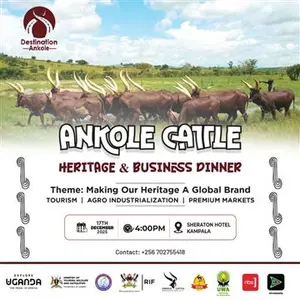 ANKOLE CATTLE HERITAGE & BUSINESS DINNER
