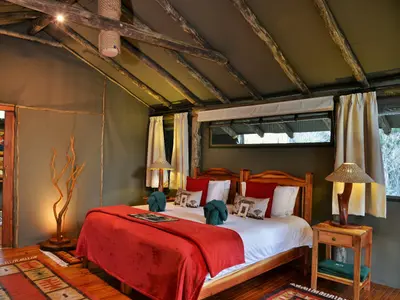 Forest Camp photo 2