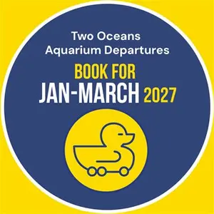 The Two Oceans Aquarium The Waterfront Duck Co Tours Jan March 2027