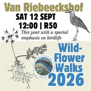 Wildflower Stepping Stones Project Van Riebeeckshof Wildflower Walk