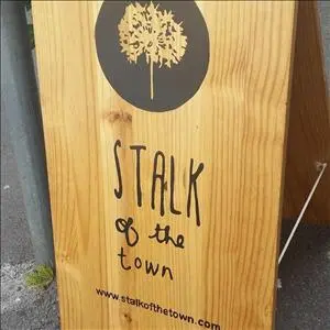 Stalk Of The Town photo 2