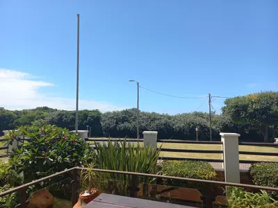Crowned Crane B & B