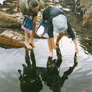 Coastal Forage Experience with Veld & Sea 21 February