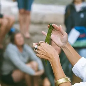 Coastal Forage Experience with Veld & Sea 24 January