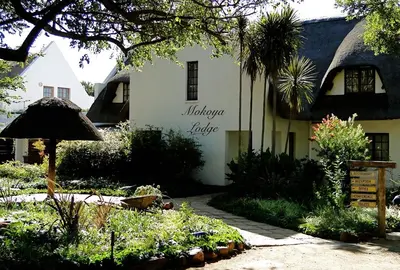 Mokoya Lodge