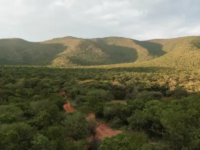 Grootfontein Private Reserve
