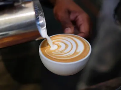 Vovo Telo Bakery & Cafe Lynnwood