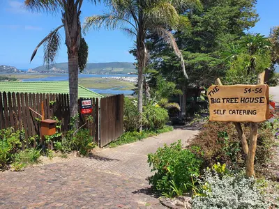 Big Tree House Lodge