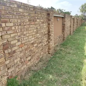 Animal Ambulance Build The Wall 2024