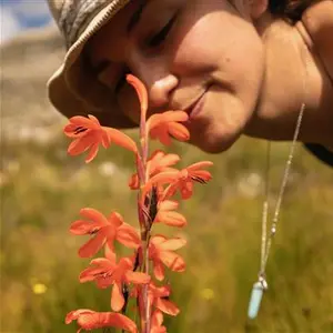 Cape Town Ecofluency workshop in Nature communication