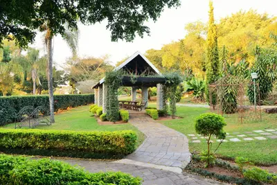 Ingwenyama