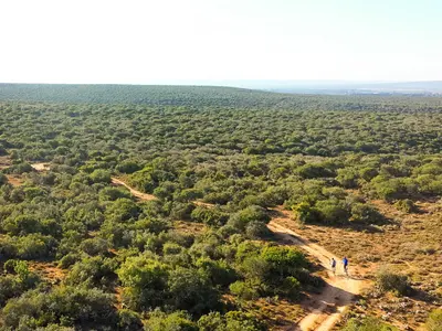 Kudu Ridge Game Lodge