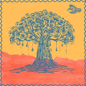 Beneath the Baobabs Festival 2027