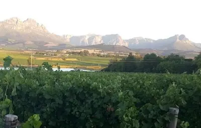 Rouana Guest Farm