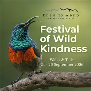 Festival of Wild Kindness