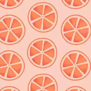 26 Week Emotional Intelligence Mentorship Program