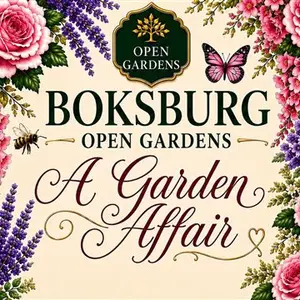 Boksburg Open Gardens 2026 A Garden Affair
