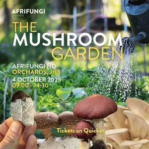 The Mushroom Garden