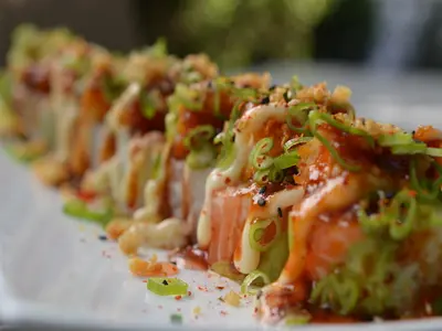 Village Sushi Restaurant