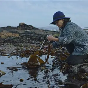 Coastal Forage Experience with Veld & Sea 23 January