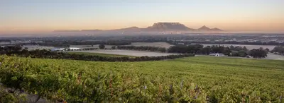 De Grendel Restaurant