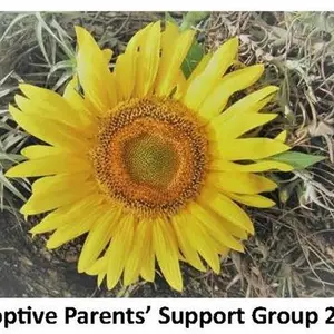 Adoptive Parents Support Group