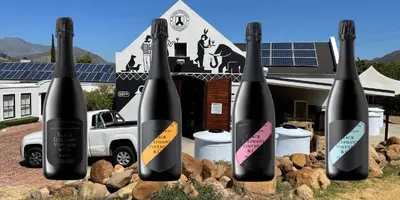 Black Elephant Vintners photo 2