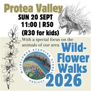 Wildflower Stepping Stones Project Protea Valley Wildflower Walk