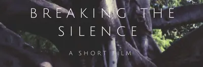 Breaking The Silence photo 2