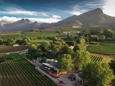 Alluvia Boutique Winery