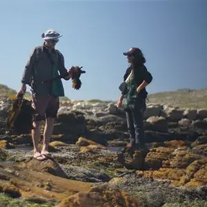 Coastal Forage Experience with Veld & Sea 21 March